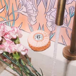 Œillet Mignardise  Mydła well-being