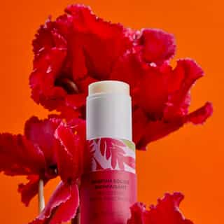 Gingembre Rouge Zapach w sztyfcie Wellbeing