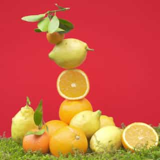 Bois d'Orange Krem do Rąk Well-Being