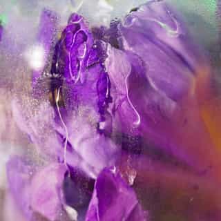 Feuille de Thé Woda zapachowa well-being