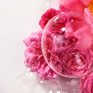 Rose Żel pod prysznic well-being