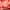 Gingembre Rouge Krem do rąk Well-Being