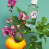 Fleur de Figuier Woda zapachowa well-being