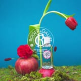 Gingembre Rouge Woda zapachowa well-being